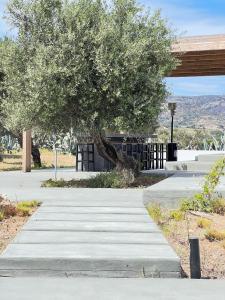 a tree in the middle of a walkway at Villa Serene Milos in Empourios