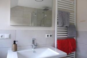 a white bathroom with a sink and a mirror at Bonnavista Ferienwohnungen in Großheubach