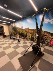 a room with a gym with a view of a mountain at Apartament C2 Green Resort z Basenem, Sauną, Jacuzzi - 5D Apartments in Szklarska Poręba