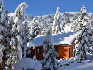 トゥルラッハー・ヘーエにあるSunlit Cabin with Jacuzzi in Turracherhoheの雪上の小屋