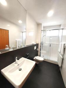 La salle de bains est pourvue d'un lavabo, de toilettes et d'une douche. dans l'établissement Hotel Avion, à Prague