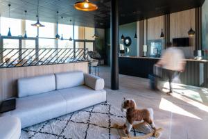a dog standing on a skateboard in a living room at Nemea Appart Hotel Green Side Biot Sophia Antipolis in Biot