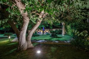 A garden outside Sikelika Residence Sul Mare