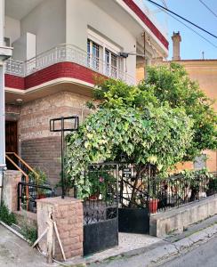 un grand arbre devant un bâtiment dans l'établissement Spacious Apartment in Mytilene, à Mytilène