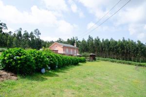 una casa en un campo con un seto en Villa Montedonigo, en Loiba