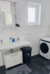uma casa de banho com um lavatório e uma máquina de lavar roupa em Apartment Weikersheim IV em Weikersheim