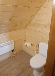 SułówにあるU Szwagra, domek całorocznyの木製の部屋のバスルーム(トイレ付)