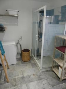 y baño con ducha y puerta de cristal. en Maison de village au calme axe Annecy - Genève en Villy-le-Pelloux