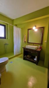 a green bathroom with a sink and a mirror at The Black Chestnut in Áyios Nikólaos