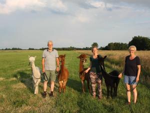 Jodinėjimas žirgais ūkininko sodyboje arba netoliese