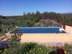 een zwembad in het midden van een tuin bij LES ANGES in Covelo