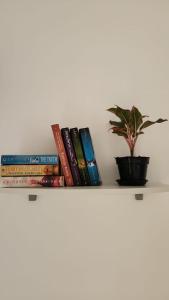 una fila de libros en un estante con una maceta en Yobi House, en Ubud