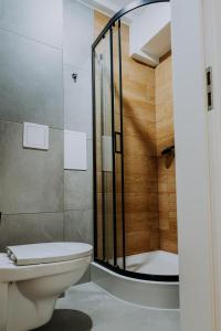 uma casa de banho com um chuveiro e um WC. em Komfortowy Apartament W Centrum Wrocławia em Breslávia