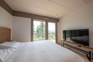 Televízia a/alebo spoločenská miestnosť v ubytovaní Appartement UBAC