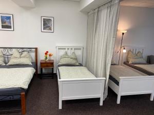 a bedroom with two beds and a window at Ubytování Šantovka in Olomouc +6 photos