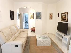 Altstadt的住宿－2 bedrooms apartement with enclosed garden and wifi at Limbach Kirkel，客厅配有白色沙发和电视