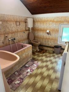 a bathroom with a bath tub and a toilet at Privatni Smeštaj Marović in Vršac