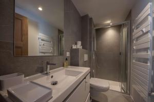 a bathroom with a sink and a toilet and a shower at Lot appartements Adret et Ubac in Rovagny