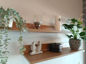 a shelf with plants and vases on it at Sotherm apartment in Thermi