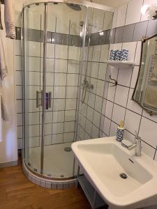 a bathroom with a shower and a sink at Le Petit Manoir in Isigny-le-Buat