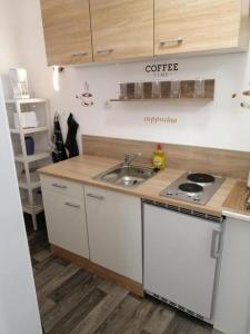 eine Küche mit Spüle und Arbeitsplatte in der Unterkunft FEWO Kutsch Watt Nr.3 in Cuxhaven