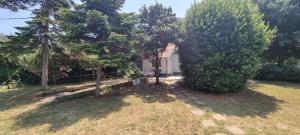 Zahrada ubytování Villa Mediterranea - Apartments