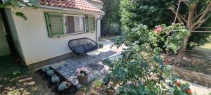 Zahrada ubytování Villa Mediterranea - Apartments