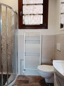 ein Bad mit einem WC, einer Dusche und einem Waschbecken in der Unterkunft Casa Dell'Arte Botanica in Palaia