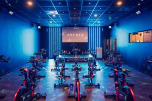 Fitness centrum a/nebo fitness zařízení v ubytování Aspria Hamburg Uhlenhorst Sport & Spa
