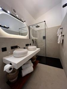 La salle de bains est pourvue d'un lavabo, d'un miroir et d'une douche. dans l'établissement Résidence Les Sources, à Saint-Rémy-de-Provence