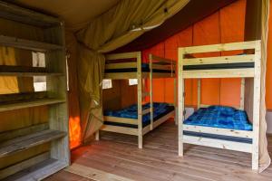 um quarto com 2 beliches numa tenda em Safaritent op groen en kindvriendelijk park op de Veluwe em Epe