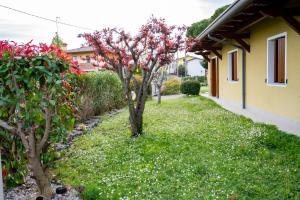 Residence Stradella Verde في Staranzano: حديقة بها أشجار مزهرة ومنزل