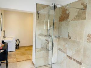 ein Bad mit einer Dusche und einer Glastür in der Unterkunft Apartment Seeblick in Grafenau