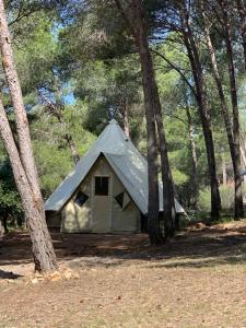 サルス・ル・シャトーにあるCamping Le Bois De Pinsの森の中の小さなテント