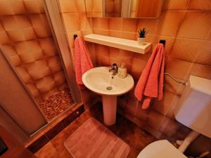 a small bathroom with a sink and a shower at Nettes Appartement in Crikvenica mit Terrasse in Crikvenica