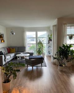 a living room with a couch and some plants at Great 2 bedroom apartment in Tromsø centrum! in Tromsø