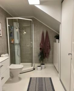 y baño con ducha y aseo. en Great 2 bedroom apartment in Tromsø centrum! en Tromsø