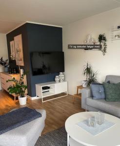 a living room with a couch and a tv at Great 2 bedroom apartment in Tromsø centrum! in Tromsø