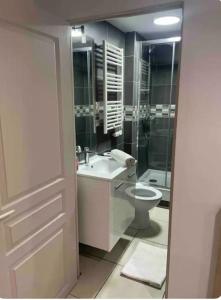 La salle de bains est pourvue de toilettes, d'un lavabo et d'une douche. dans l'établissement Appartement au cœur de centre-ville de Marseille, à Marseille