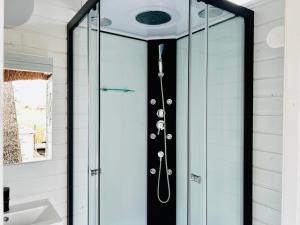 y baño con ducha de cristal y espejo. en Seehütte Seehaus am Neusiedler See, en Rust