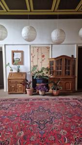 una habitación con macetas y una alfombra grande en Hügel en Bad Wildungen