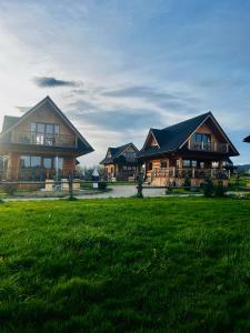 duży drewniany dom na polu zielonej trawy w obiekcie DOMEK POD LIMBAMI V w Kluszkowcach