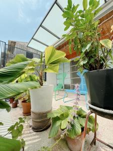 a group of plants in pots on a balcony at 辣虎邸家 Love Here in Tainan