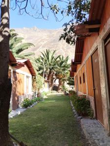 Une allée avec des palmiers et une montagne en arrière-plan dans l'établissement Eden Lodge, à Cabanaconde