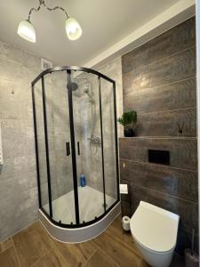 Ένα μπάνιο στο Wieczorek Apartment +11 φωτογραφίες