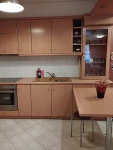 Kuchyň nebo kuchyňský kout v ubytování Dancer's Home