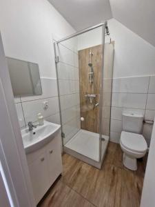 a bathroom with a shower and a toilet and a sink at Pokoje u Emilii ul. Warszawska in Mikołajki +22 photos