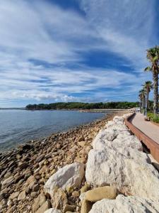 a rocky shore with a walkway next to the water at Rez-de-jardin sous pins et plage in Saint-Mandrier-sur-Mer