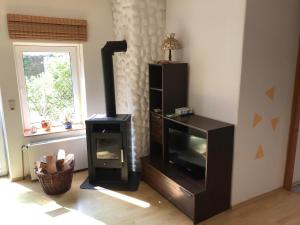 a living room with a fireplace and a television at Ferienwohnung Zum Wilden Wein in Uslar