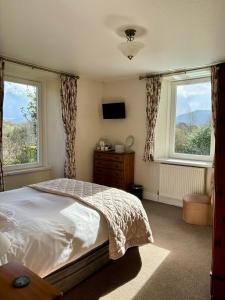 um quarto com uma cama e duas janelas em Forest How Guest House em Eskdale